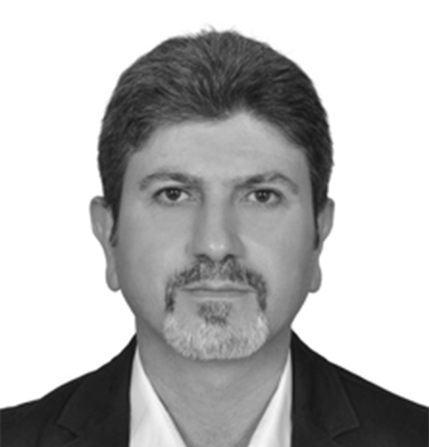 Maher Al Hamwi
